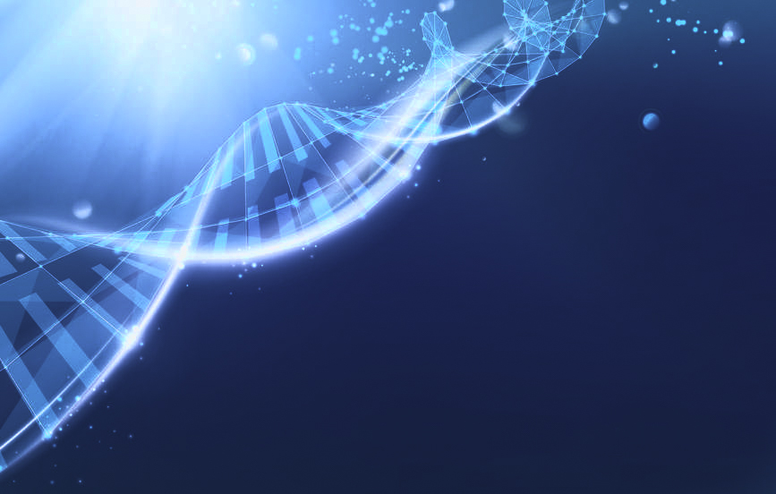 De Reconnective Healing werkt op het ADN